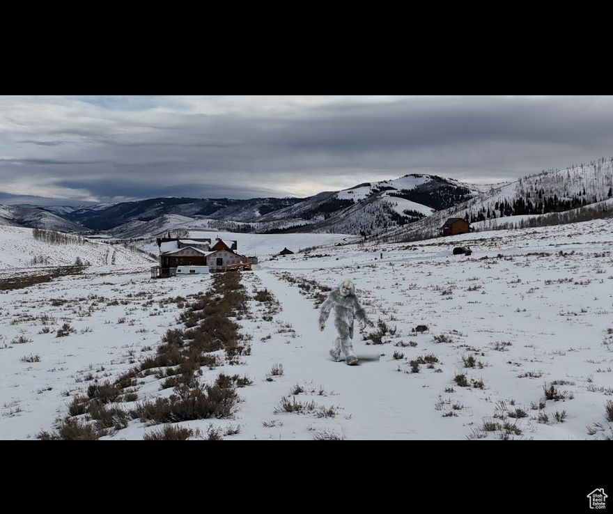 7.56 acres of pure freedom, fresh air... and possibly a part-time Yeti.  If you've ever wanted a property big enough to host family, friends, ATVs, campfires, s'mores, and maybe even an interdimensional mountain creature-or two-your search is officially over.  This 7.56-acre slice of paradise has everything: towering views, endless space, crisp mountain mornings, and evenings so quiet you'll start questioning your life choices in the best way possible. There's room for cabins, gatherings, outdoor toys, questionable dance parties around the fire... whatever your heart desires.  And yes-locals whisper that a friendly Scofield Yeti occasionally strolls through the property. He's mostly chill, keeps to himself, and is rumored to prefer beef jerky over humans. (Buyer to verify.)  Use it as your escape, your playground, your "I-can't-believe-I-own-this" bragging rights. ATV trails? Yep. Wildlife? Everywhere. Views? Outrageous. The ability to tell your friends, "Yeah... I have land"? Priceless.  With year-round access, water system in place, high-speed internet, and all the lake, mountain, and valley scenery you can handle, this property practically screams, "Live your best life already!"  Owner financing available: 25% down, 4.99% interest, amortized over 30 years with a 3-year balloon.  Buyer to verify all lot details (acreage, boundaries, utilities, zoning, and presence of mythical creatures).