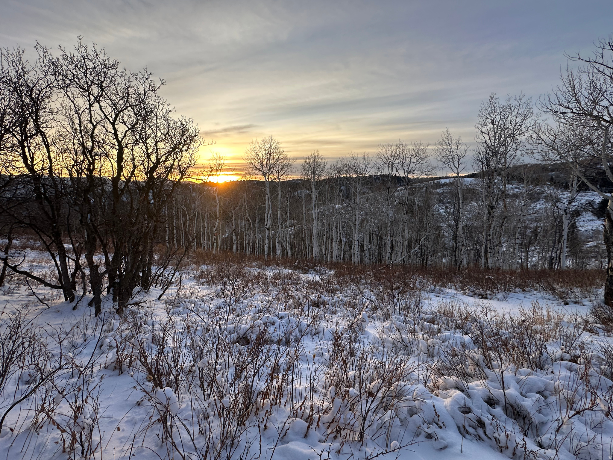 TERRA DEL SOL II SUB - Land