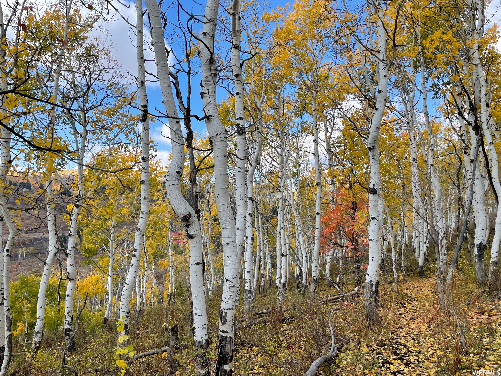 TERRA DEL SOL II SUB - Land