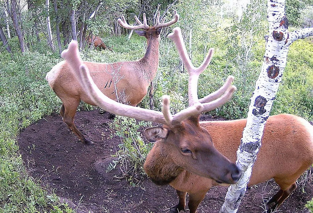 TERRA DEL SOL II SUB - Land