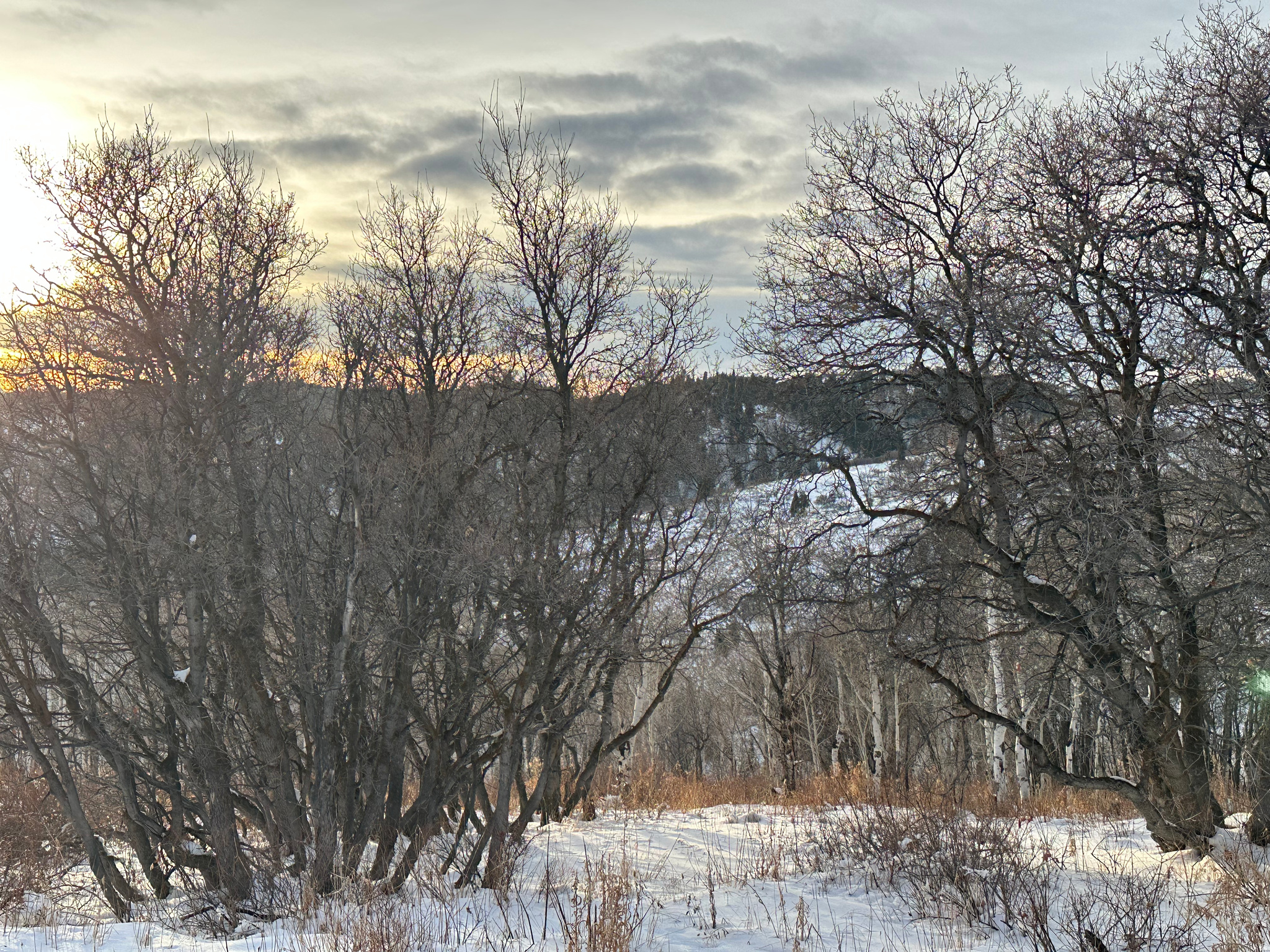 TERRA DEL SOL II SUB - Land