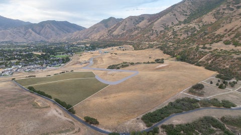 Tiny photo for E S PRESERVE DR, Mapleton, UT 84664 (MLS # 2184057)