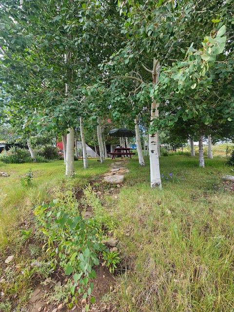 Tiny photo for 9173 E SOLDIER LN, Heber City, UT 84032 (MLS # 2172504)