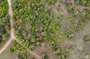 ZION PANORAMA - Land