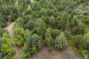 ZION PANORAMA - Land