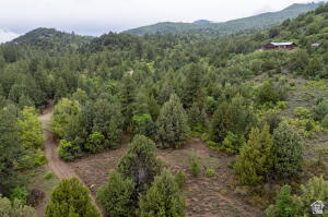 ZION PANORAMA - Land