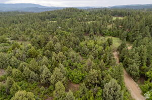 ZION PANORAMA - Land