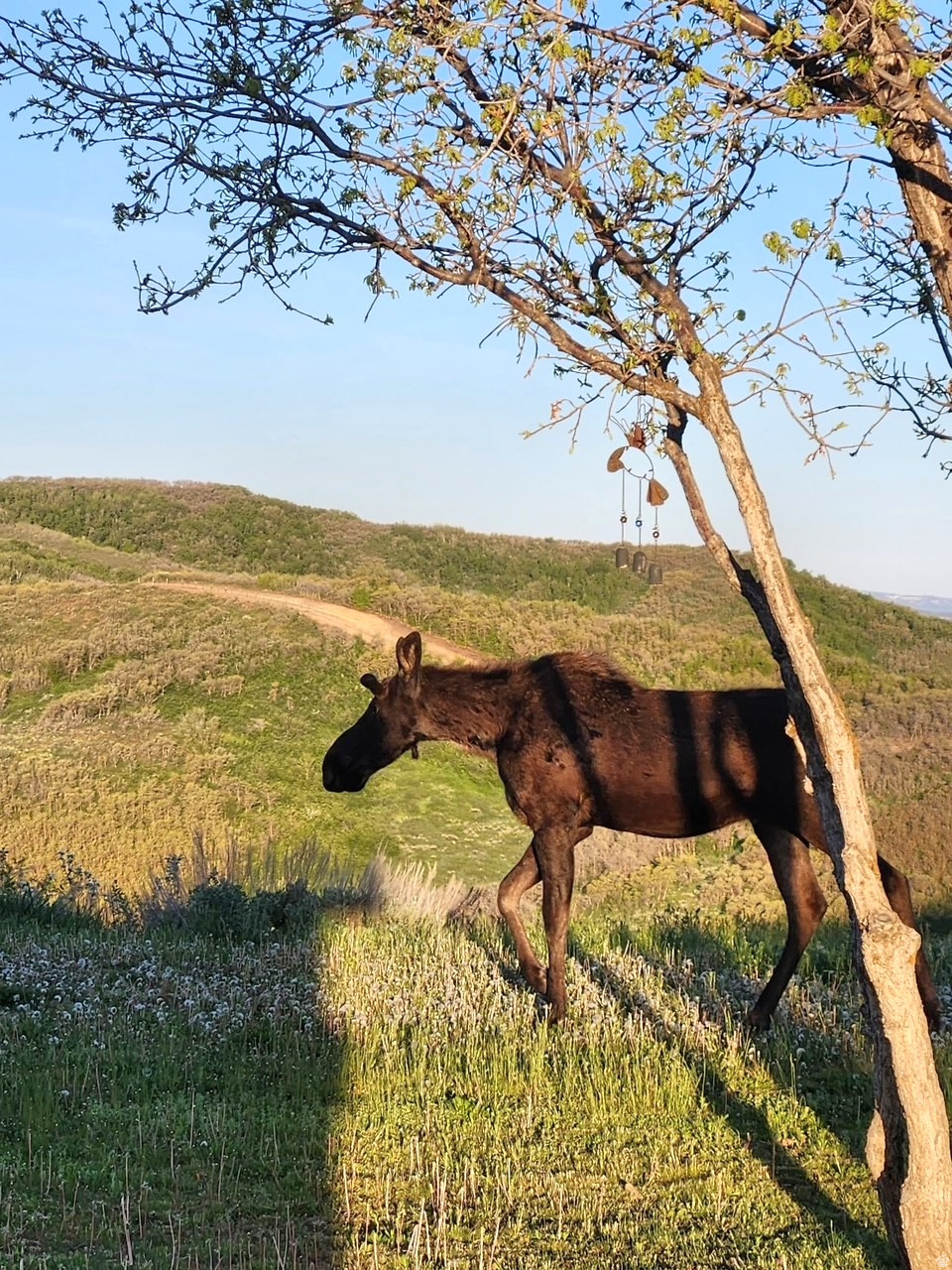 ECHO CREEK RANCHES - Land