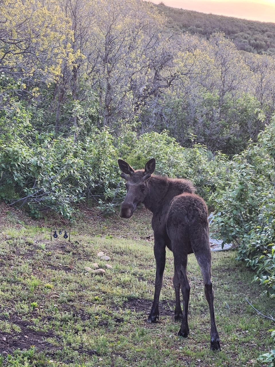 ECHO CREEK RANCHES - Land