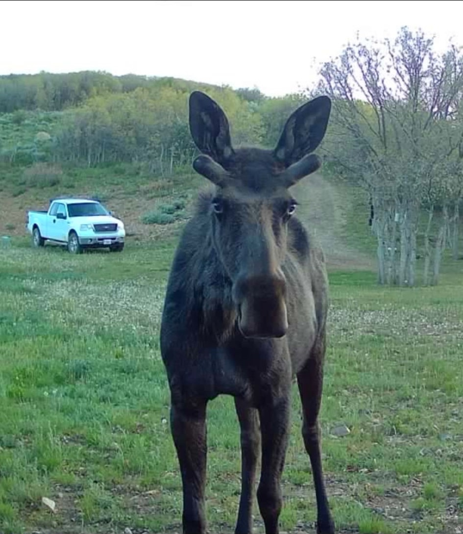 ECHO CREEK RANCHES - Land