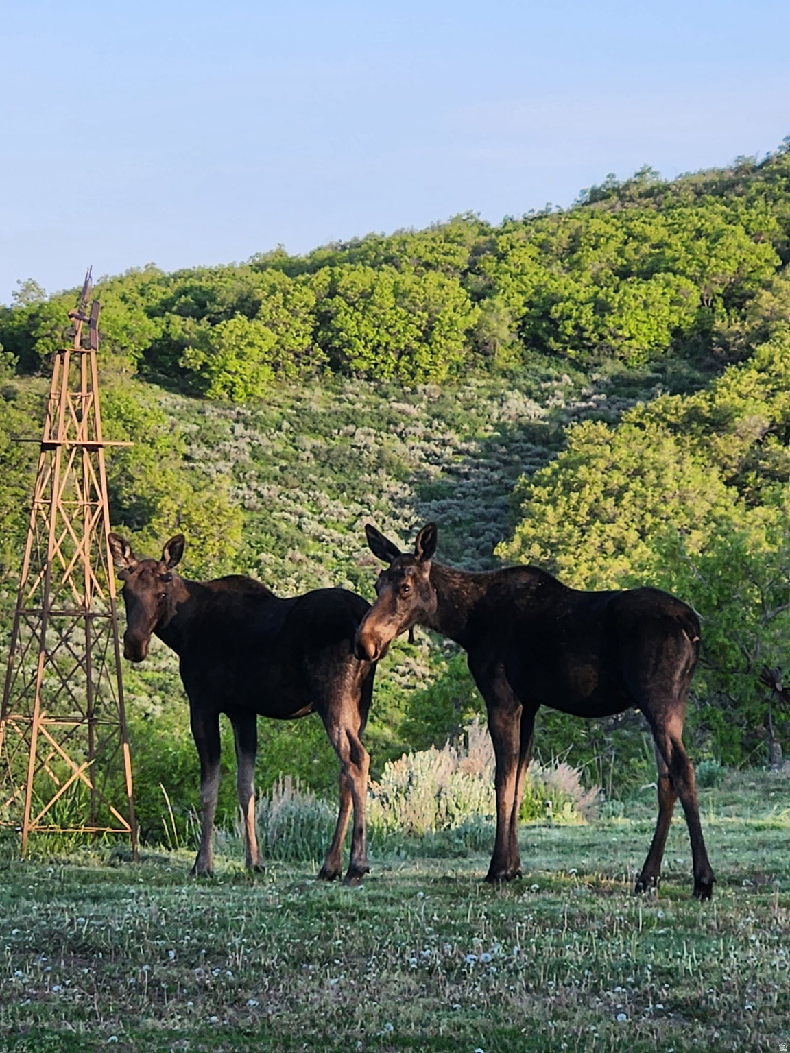 ECHO CREEK RANCHES - Land