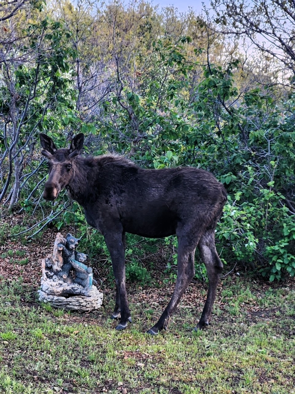 ECHO CREEK RANCHES - Land