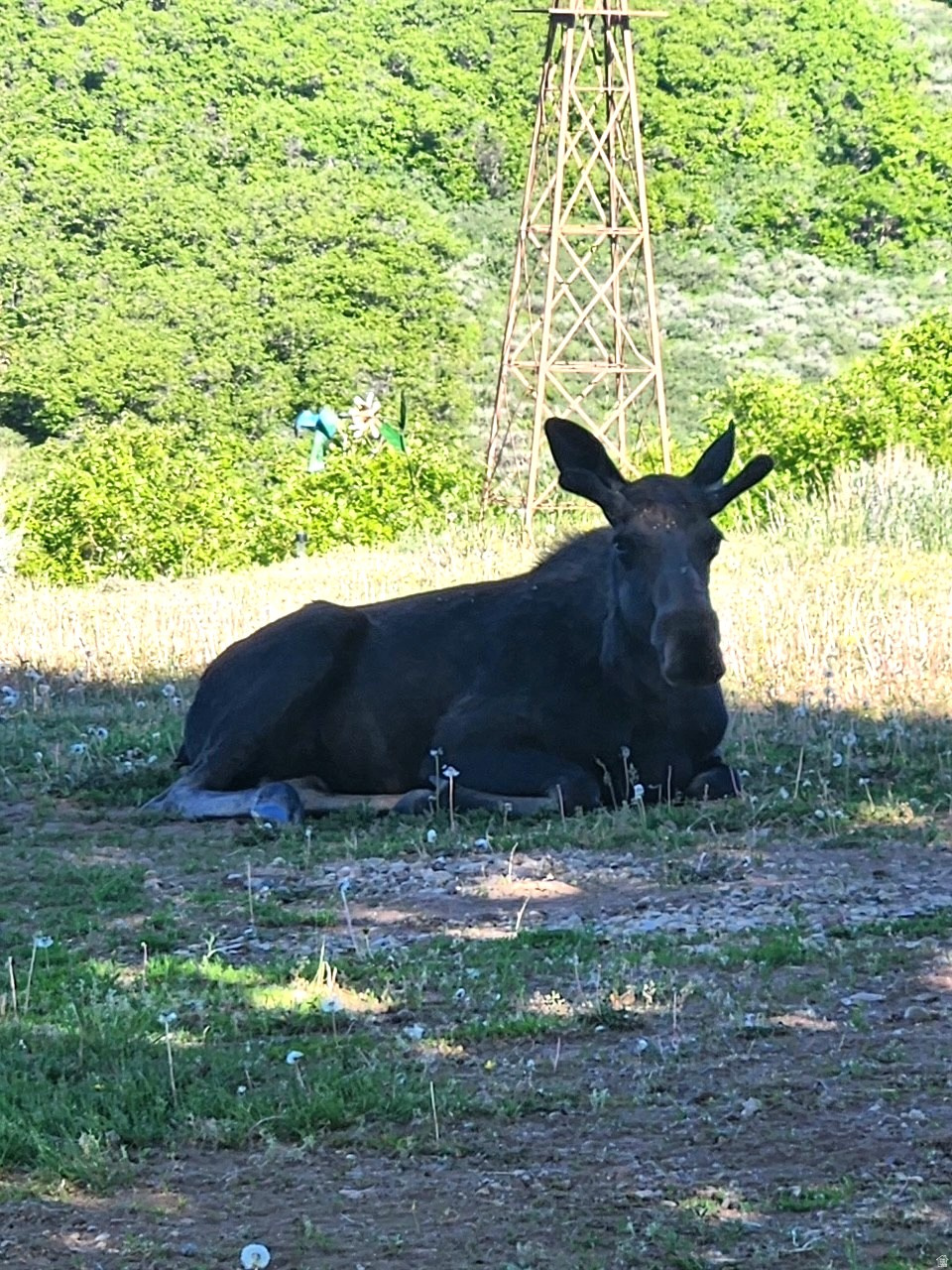 ECHO CREEK RANCHES - Land