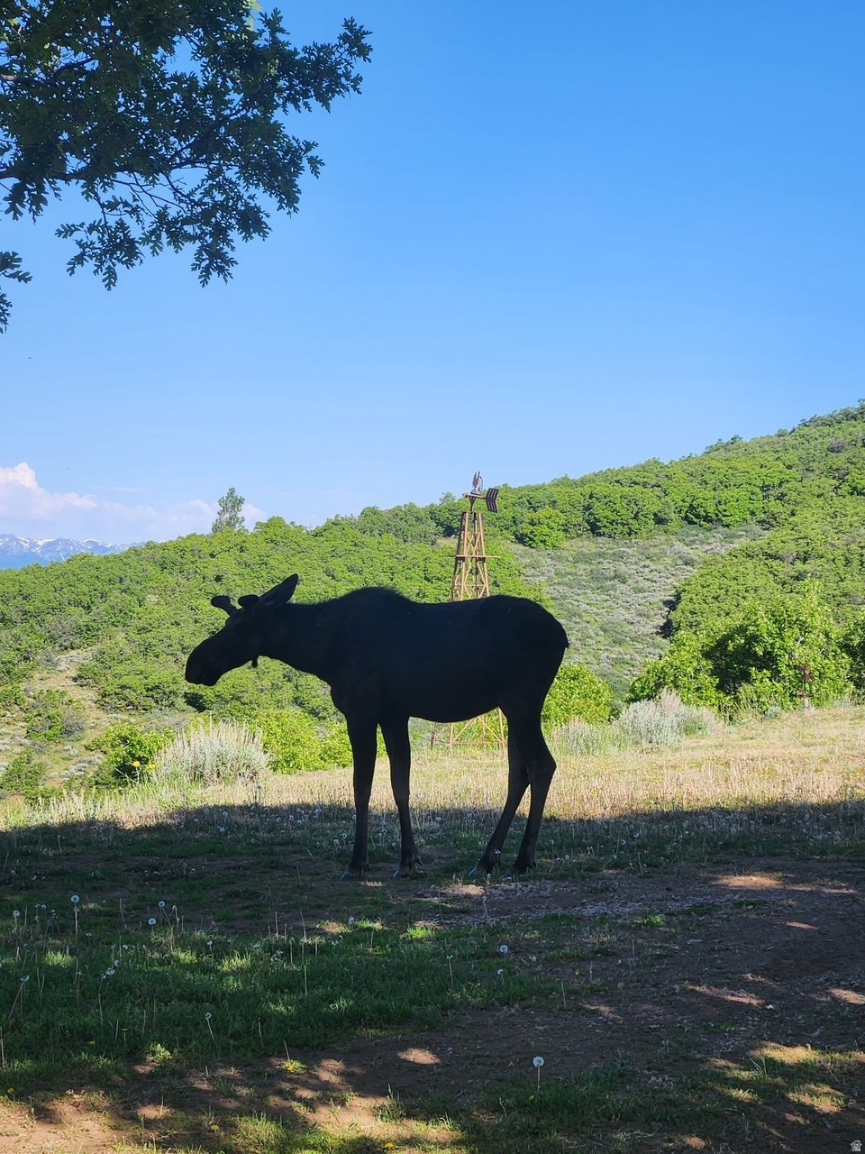 ECHO CREEK RANCHES - Land