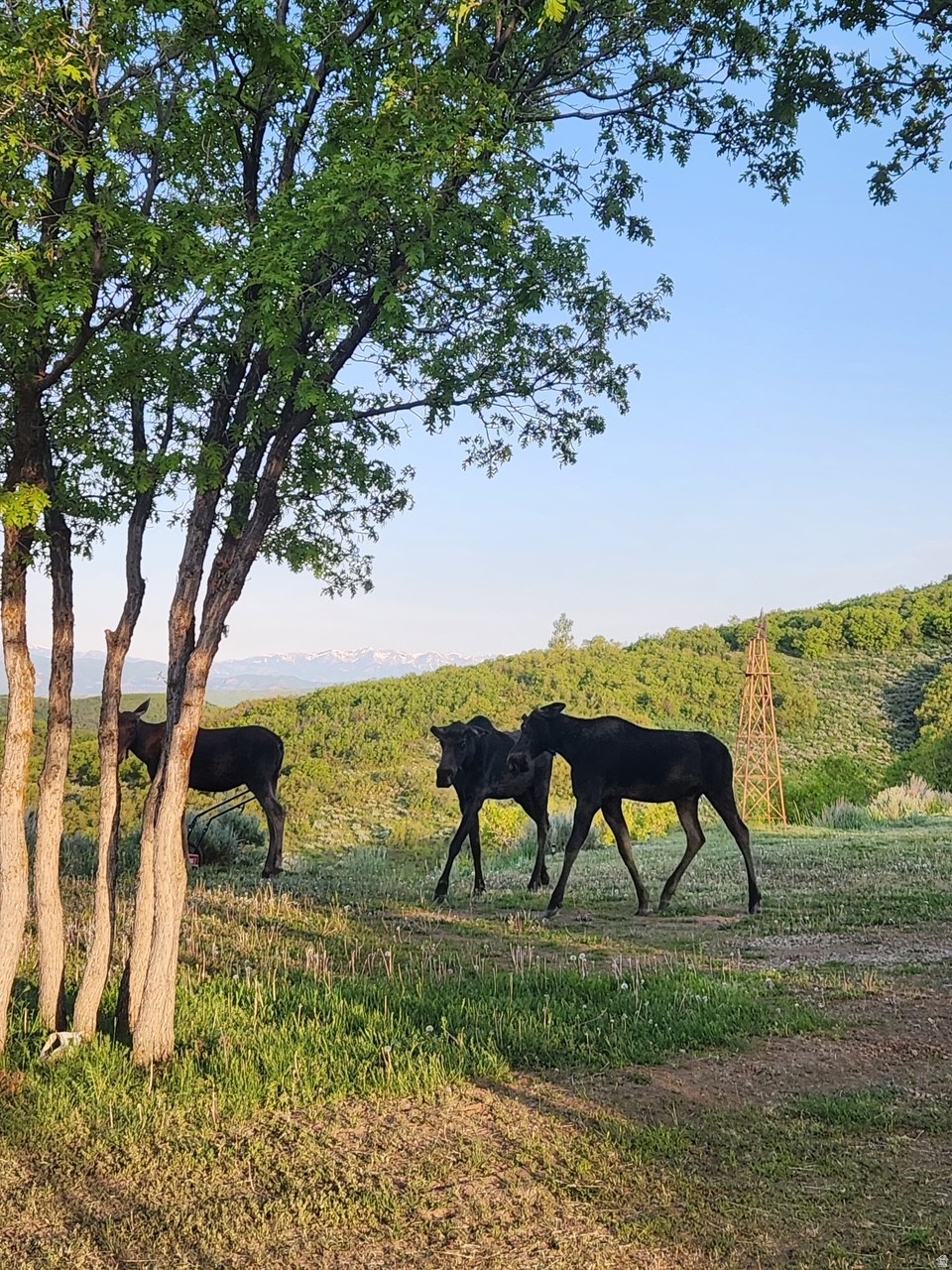 ECHO CREEK RANCHES - Land
