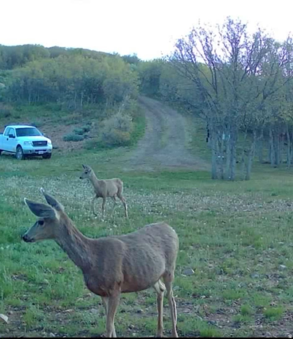 ECHO CREEK RANCHES - Land