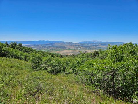 Photo of 646 E WOLF HOLLOW RD S #646, Fairview, UT 84629 (MLS # 1872274)
