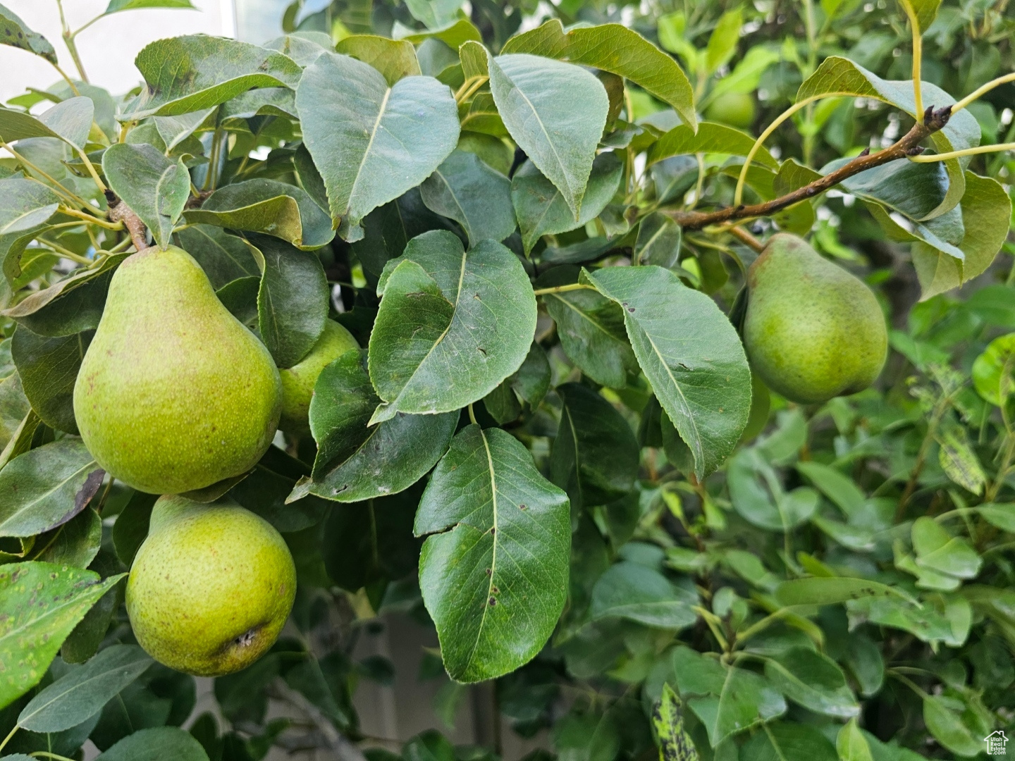 MONTEREY - Residential