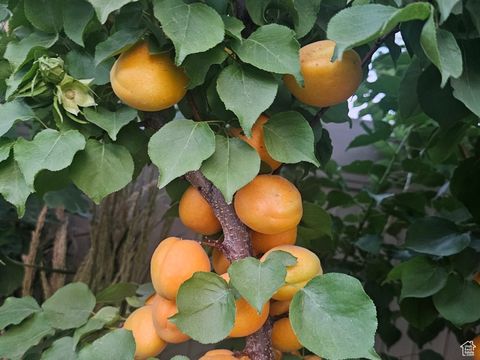 Tiny photo for 587 S 1400 W, Syracuse, UT 84075 (MLS # 2117998)