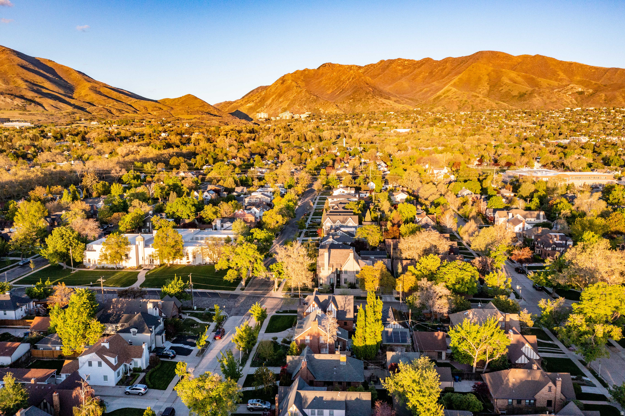 YALECREST - Residential