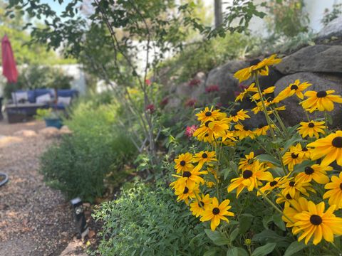 Tiny photo for 1694 E APPLE ORCHARD CT S, Draper, UT 84020 (MLS # 2129612)