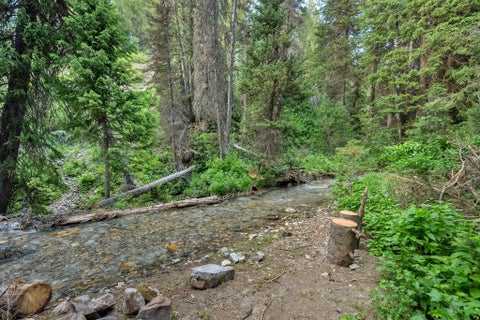 Tiny photo for 9443 E WILD CLEMATIS LN S, Brighton, UT 84121 (MLS # 2142872)