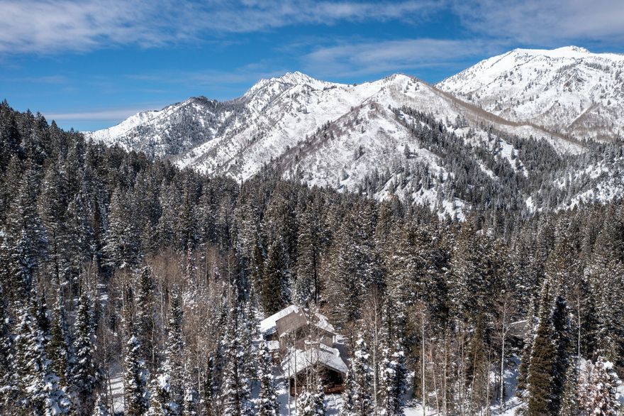 Extraordinary Mountain Retreat, situated in the most pristine, secluded, quite, gated community in Big Cottonwood Canyon. 3.42 acres, Nick named "BART's PARK". Borderlines the Cardiff Fork Stream with a trail to the stream. Also includes a bricked fire pit and Volleyball court. Very well maintained landscaping. Near trail head to Donut Falls, Cardiff and Mount Kessler. Great for Summer hiking and back country skiing. 10 minutes to Solitude Mountain Resort and Brighton Ski Resort. This expansive property also includes a separate 1,500 Sq. ft. Dance Studio with a climbing wall, kitchenette, bathroom and sauna. Buyer to verify all MLS information including square footage. Bobcat tractor negotiable. Internet is Starlink.