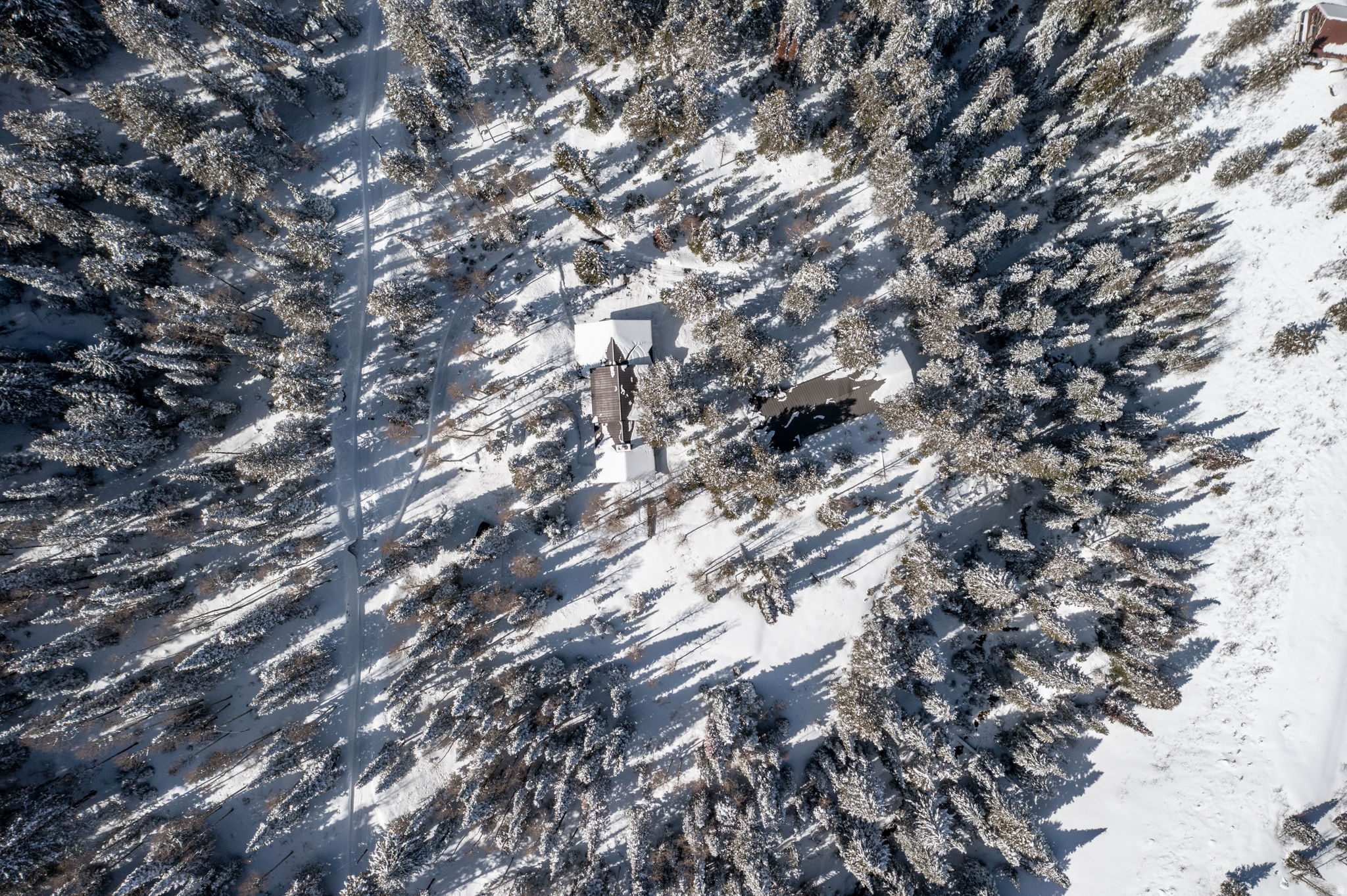 CARDIFF - Residential