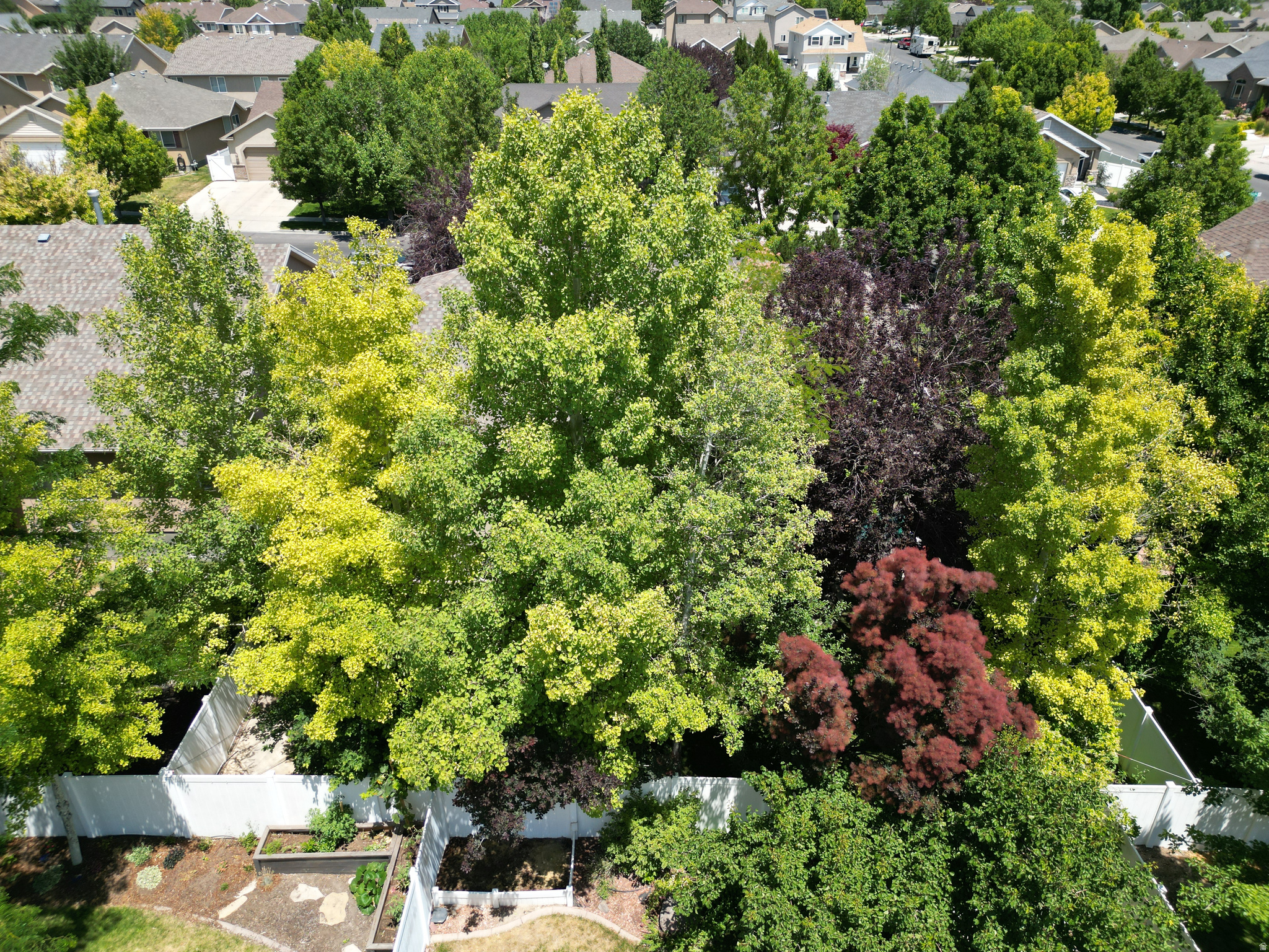 LEGACY RANCH - Residential