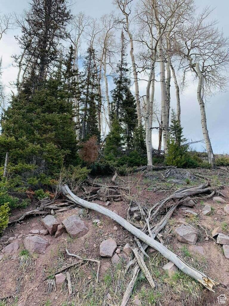 #29, Beaver, Utah image 2