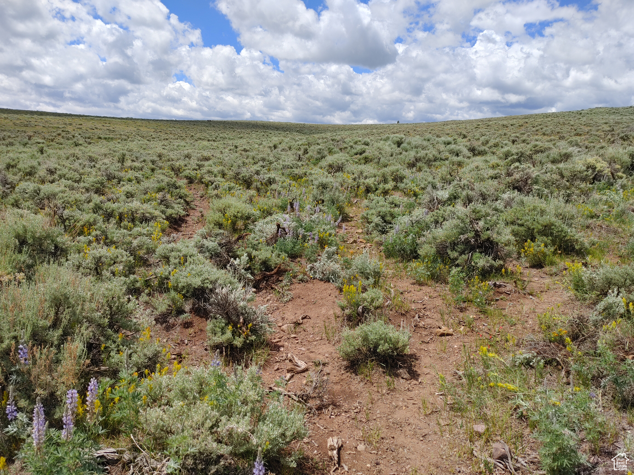 00, Kamas, Utah image 1