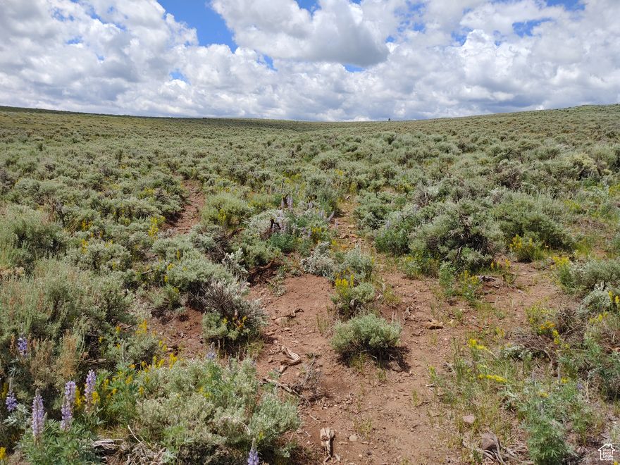 Beautiful Recreational Property! Near the Kings Peak trail head. 2 small buildings on property with solar power and heat. 46 Acres fully fenced. Go west at Lone Tree, WY (Yellow Building) for One Mile. Turn South and go two miles. Turn West on the road to Henry's Fork for 7 miles. Property is located right before you cross into Wasatch National Forest. Text or call the listing agent for maps and additional information. Owner Agent. For Tax purposes Summit County has assigned this Property to South Summit School District, Kamas 84036.