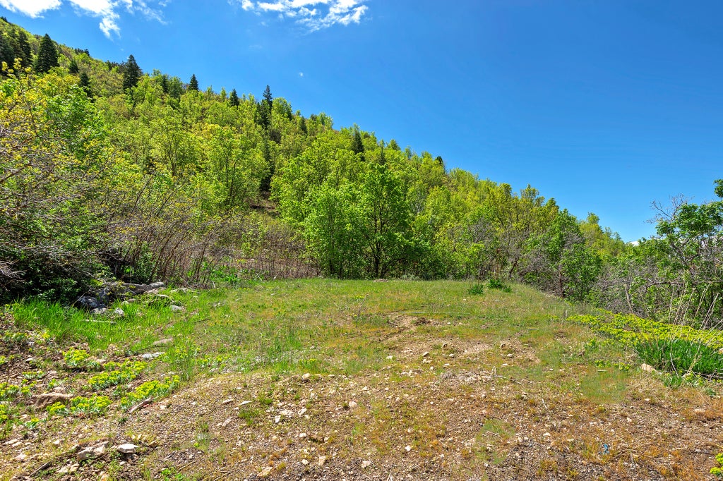 Photo of 4695 S THOUSAND OAKS DR, Salt Lake City, UT 84124 (MLS # 2182582)