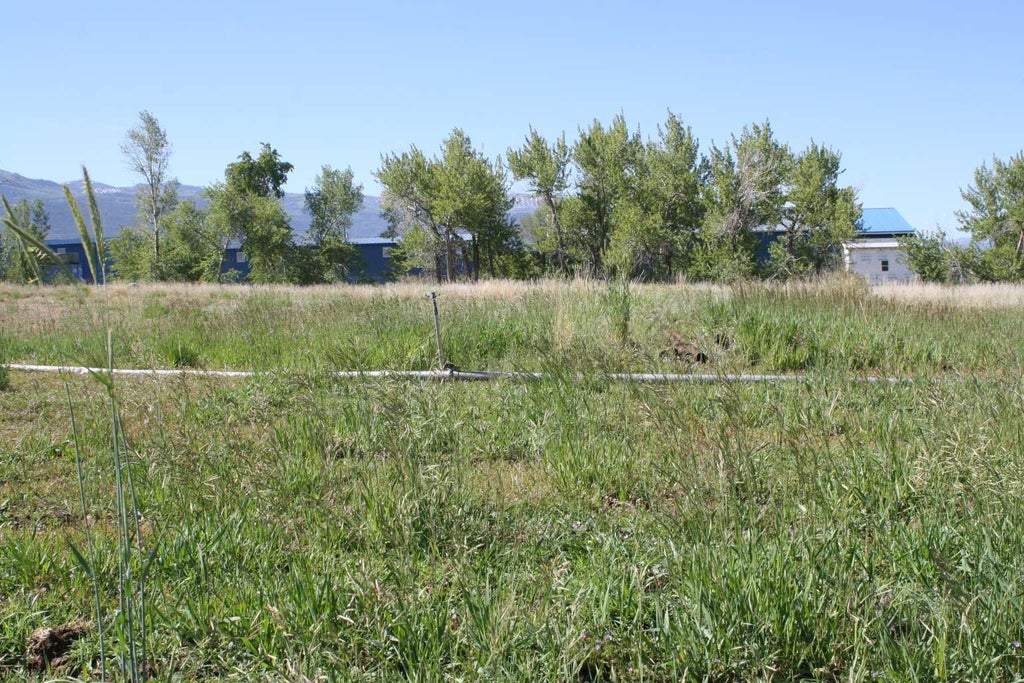 Photo of 10856 E 18750 N, Mt Pleasant, UT 84647 (MLS # 2169720)