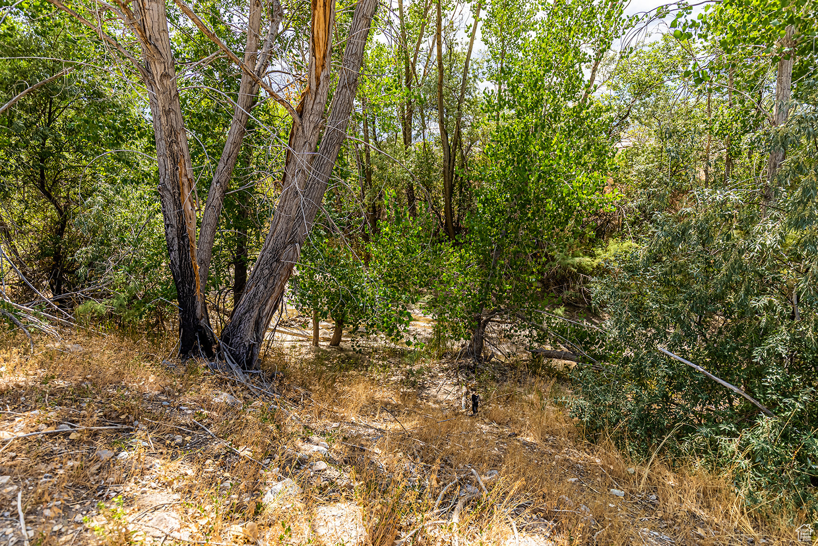 SALINA CREEK ESTATES SUBDIVISION - Land