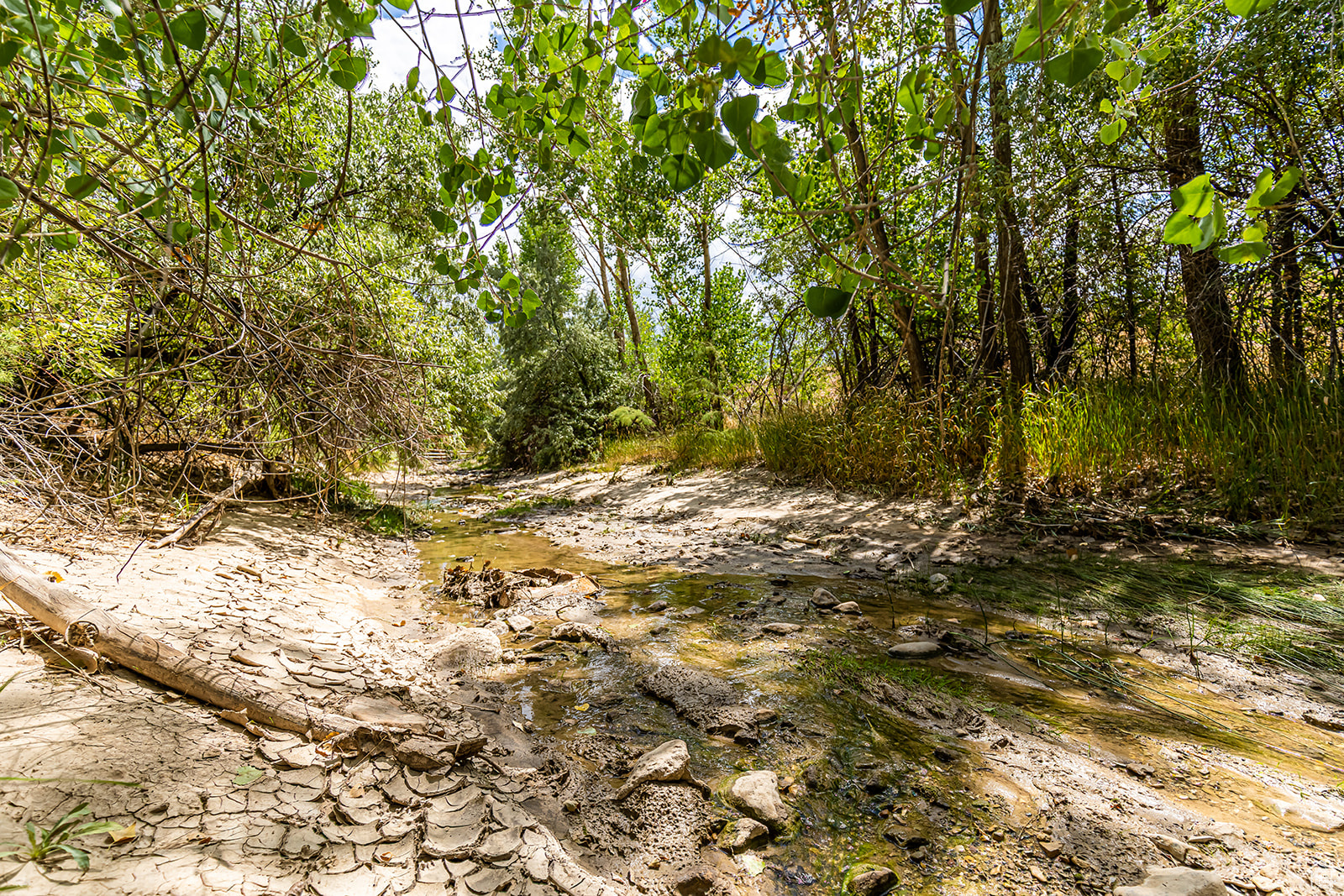 SALINA CREEK ESTATES SUBDIVISION - Land