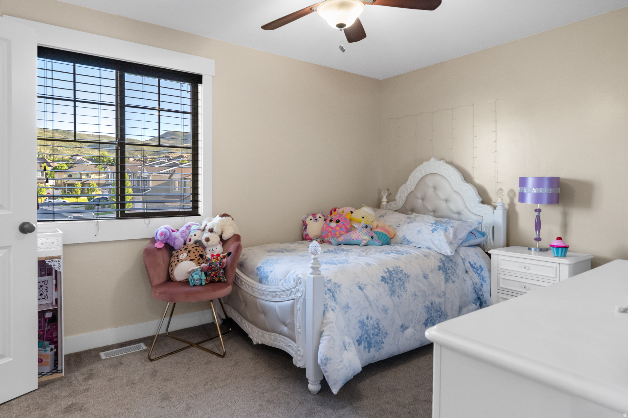 VILLAGE PUD - Residential