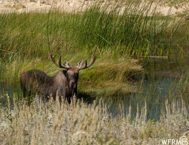 BEAR LAKE RANCHES - Land