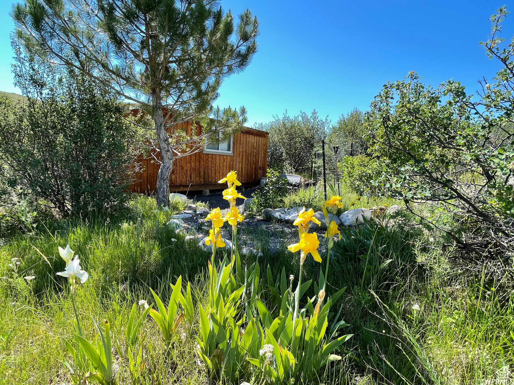 BEAR LAKE RANCHES - Land