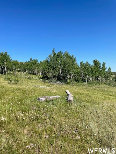 BEAR LAKE RANCHES - Land