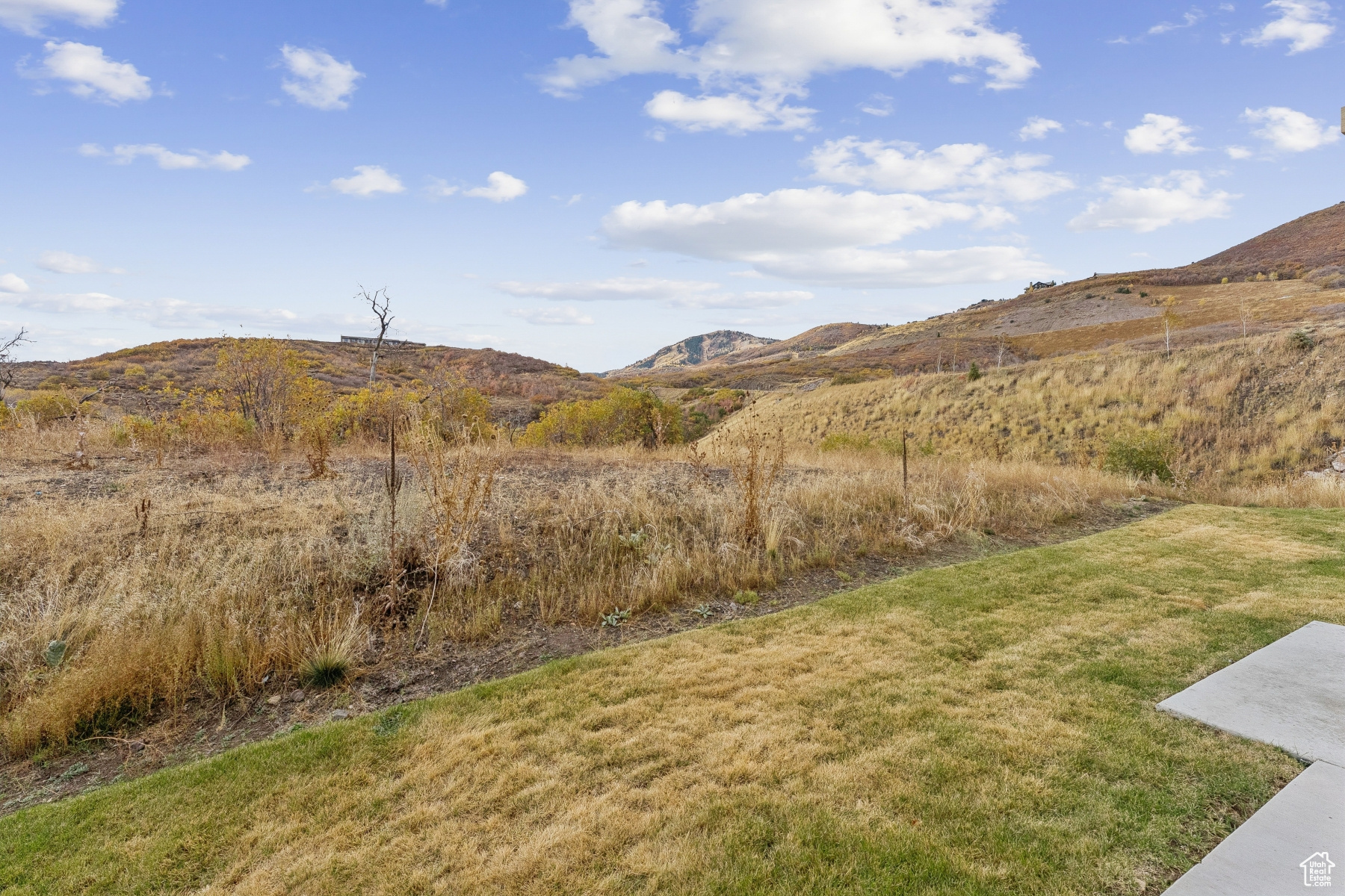 SAGE HEN - Residential