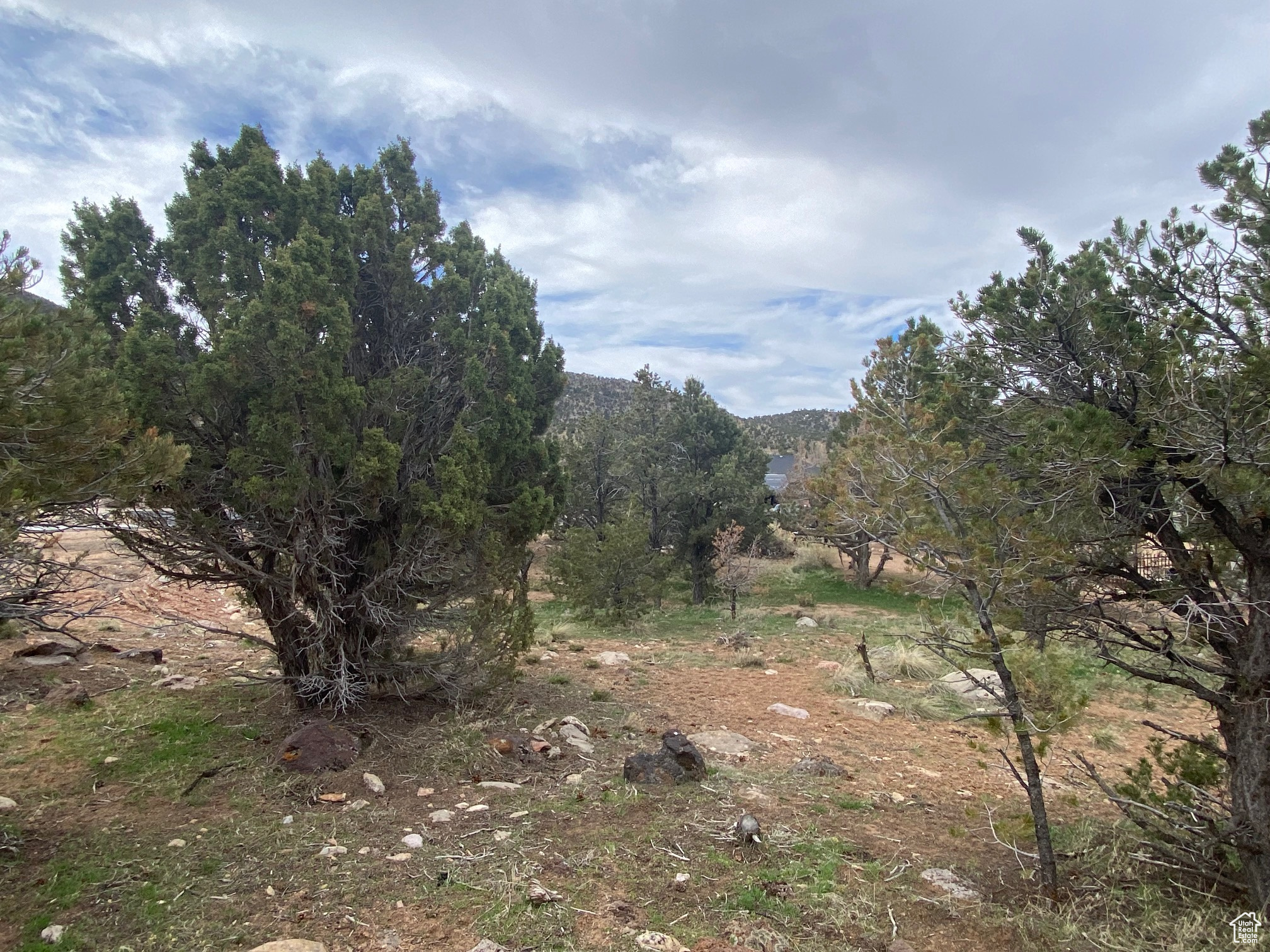 1059 E Cellowood Ln #6, Cedar City, Utah image 6