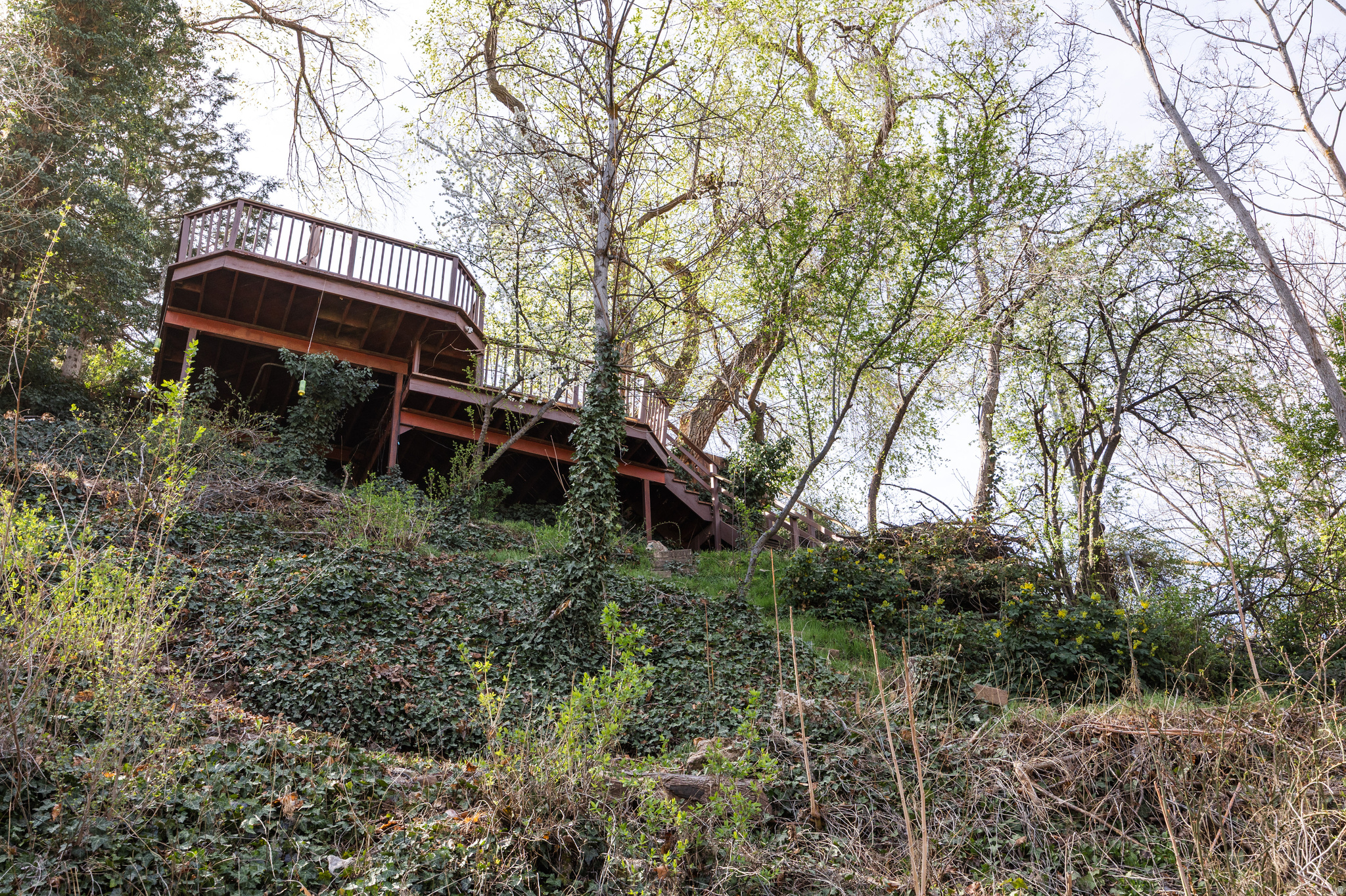 DOUGLAS PARK - Residential