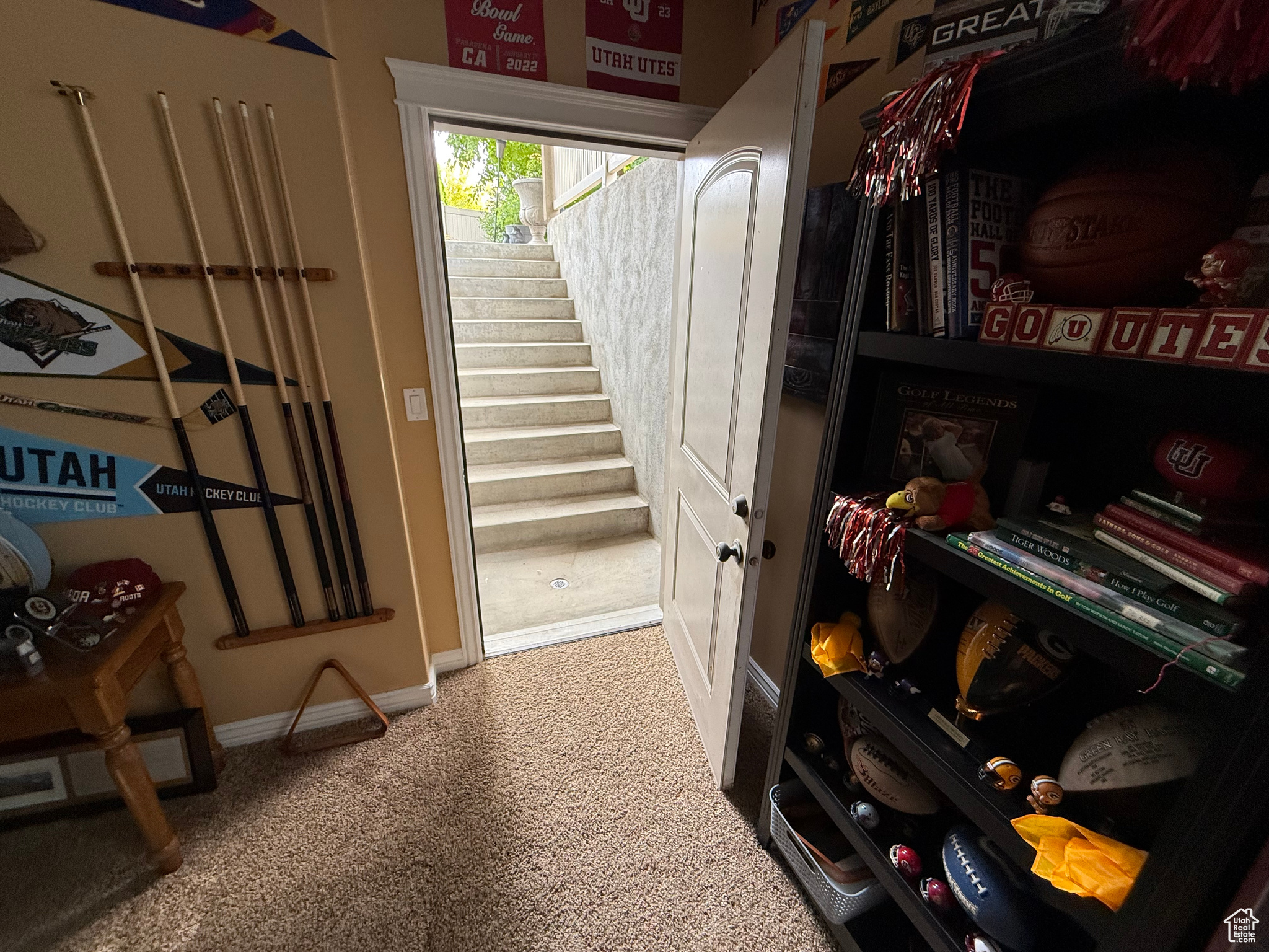 SWAN MEADOWS - Residential