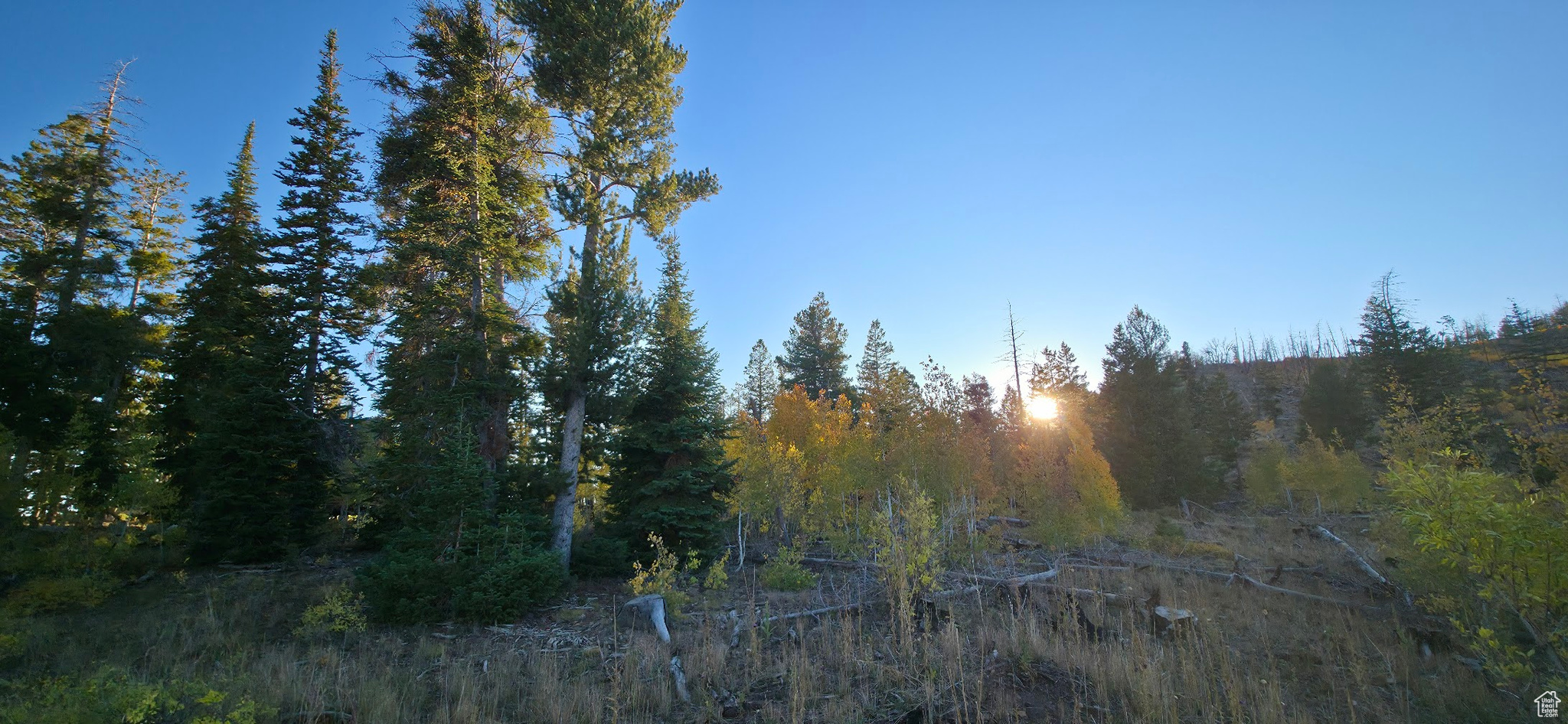 ARGYLE CANYON - Land