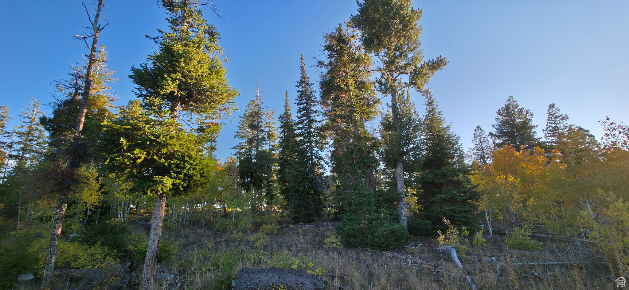 ARGYLE CANYON - Land