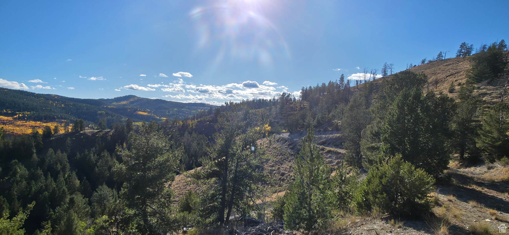 ARGYLE CANYON - Land