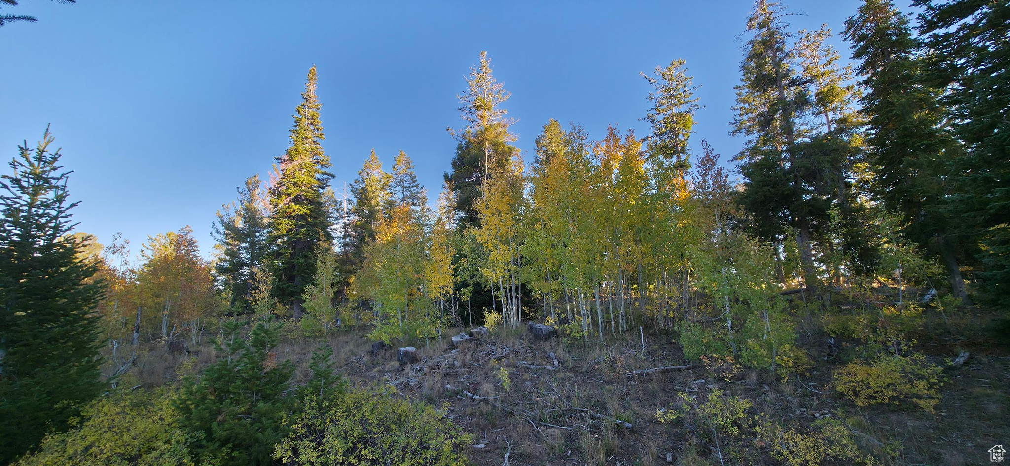 ARGYLE CANYON - Land