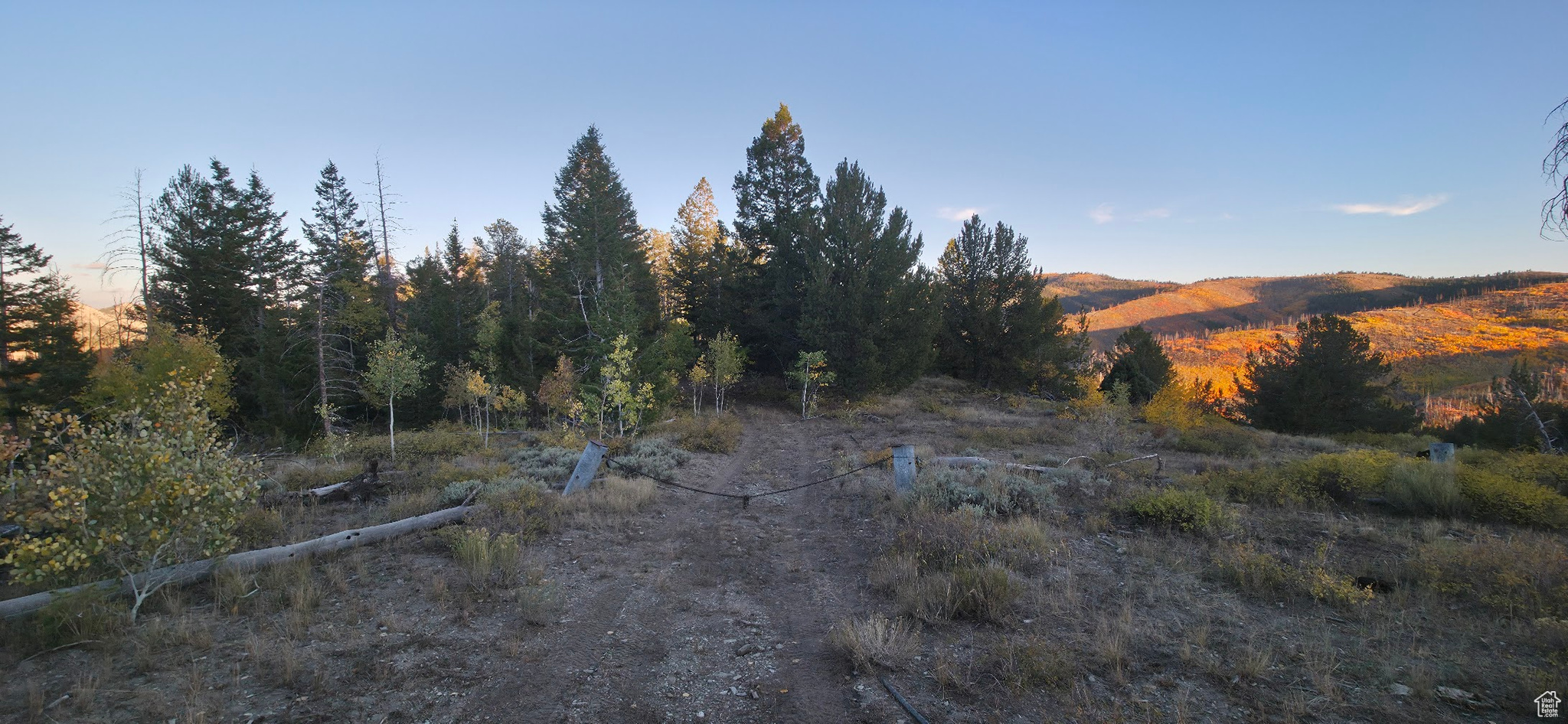 ARGYLE CANYON - Land