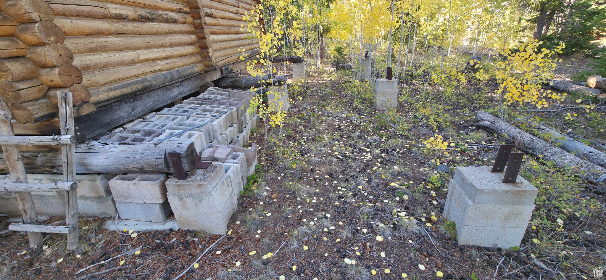 ARGYLE CANYON - Land